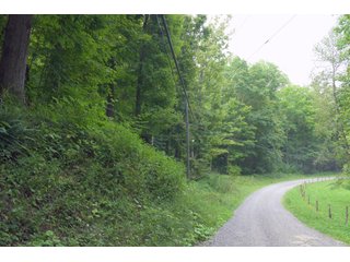 Tract 58 - Timberland & Farmland in Noble County, OH - LAND AUCTION - 12,200+/- ACRES OFFERED IN 65 TRACTS IN NOBLE COUNTY, OHIO